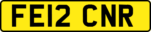 FE12CNR