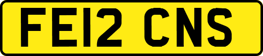 FE12CNS