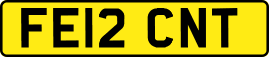 FE12CNT