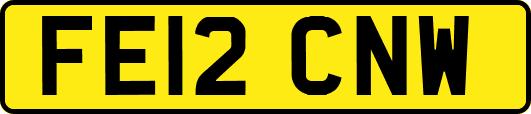 FE12CNW