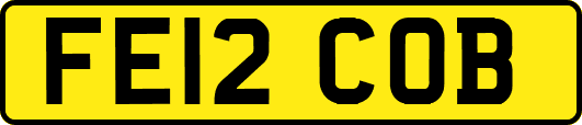 FE12COB