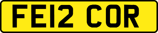 FE12COR