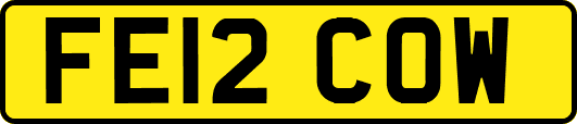 FE12COW