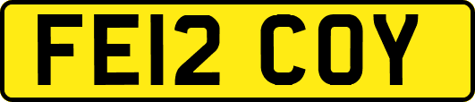 FE12COY