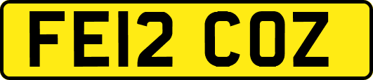 FE12COZ