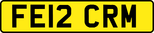 FE12CRM