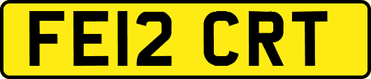 FE12CRT