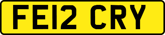 FE12CRY
