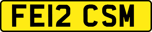 FE12CSM