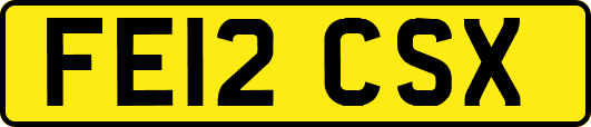 FE12CSX