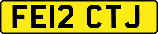 FE12CTJ