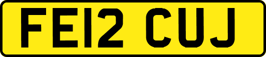FE12CUJ