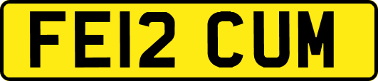 FE12CUM