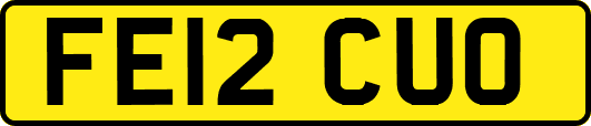 FE12CUO