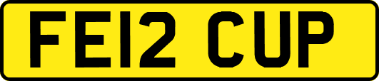 FE12CUP