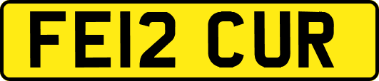 FE12CUR