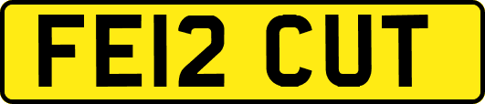 FE12CUT