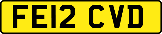 FE12CVD