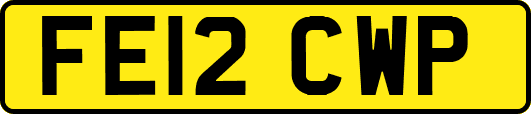 FE12CWP