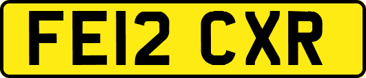 FE12CXR