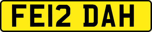 FE12DAH