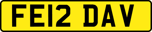 FE12DAV