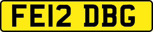 FE12DBG