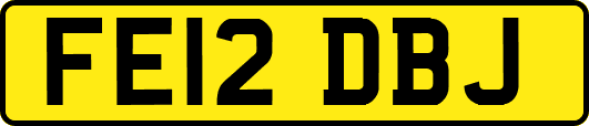 FE12DBJ