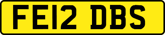 FE12DBS