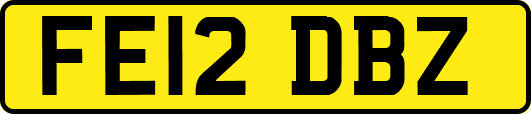 FE12DBZ