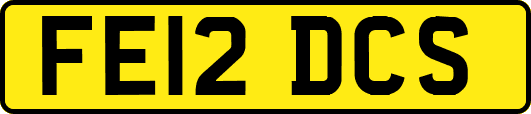 FE12DCS