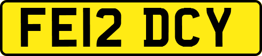 FE12DCY
