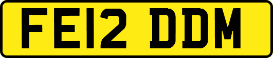 FE12DDM