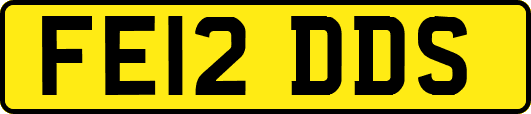 FE12DDS