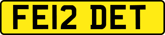 FE12DET