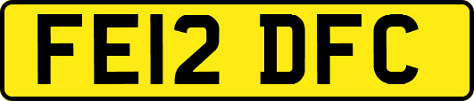 FE12DFC