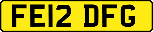 FE12DFG