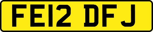 FE12DFJ