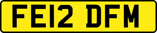 FE12DFM