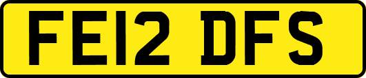 FE12DFS