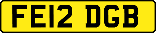 FE12DGB