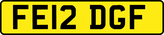 FE12DGF