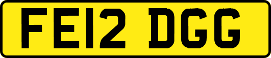 FE12DGG