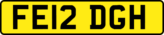 FE12DGH