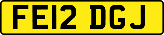 FE12DGJ