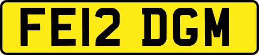 FE12DGM