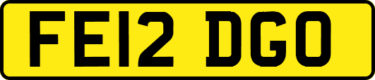 FE12DGO