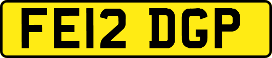 FE12DGP