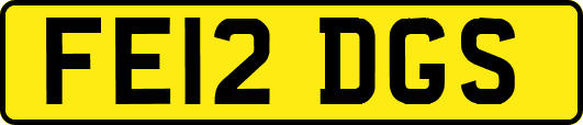 FE12DGS