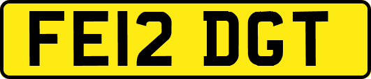 FE12DGT